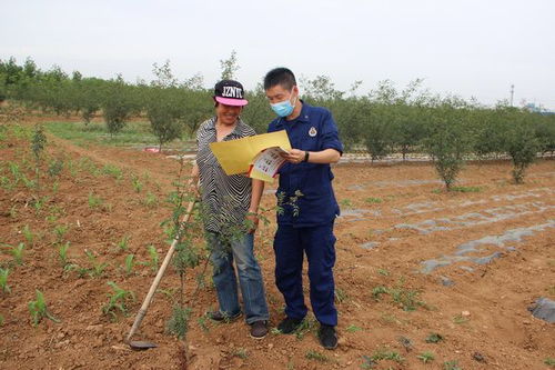 三門(mén)峽消防提醒 平安麥?zhǔn)?勿忘防火